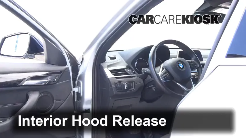 2019 BMW X2 xDrive28i 2.0L 4 Cyl. Turbo Hood
